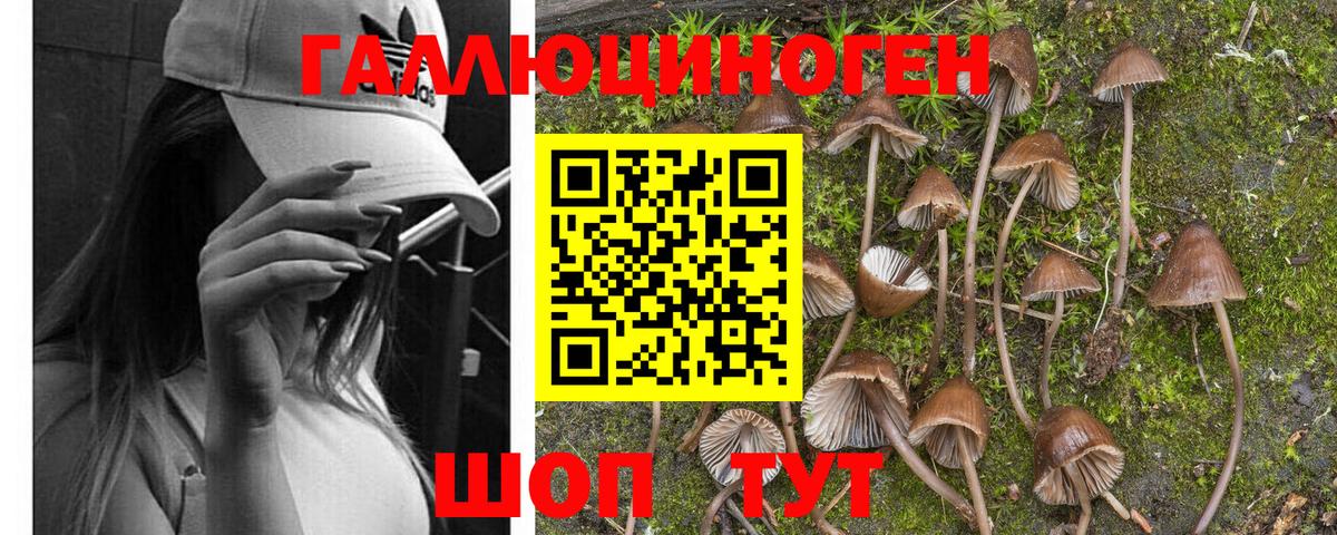 Псилоцибиновые грибы прущие грибы  Галлюциногенные грибы Psilocybine cubensis  Набережные Челны  Вход с VPN 